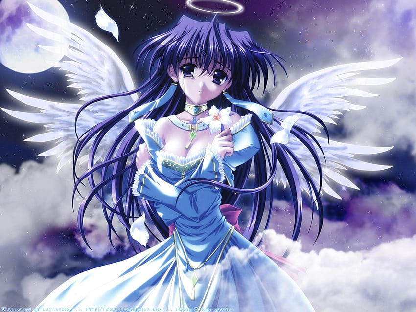 Anime Angel Girl Render, white haired female anime character with wings  transparent background PNG clipart | HiClipart