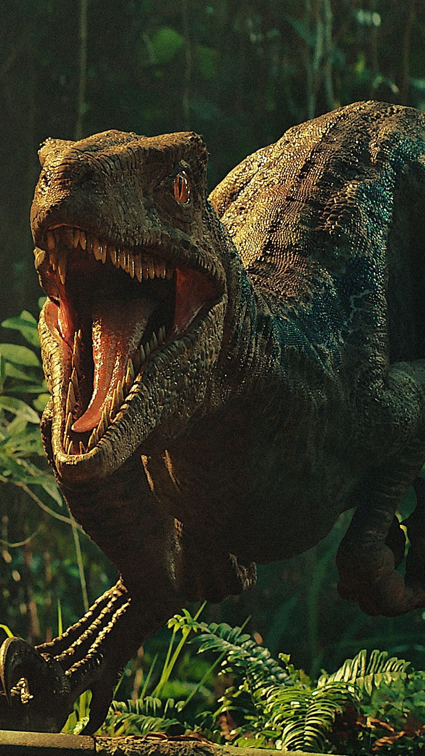 ジュラシック・ワールド: 恐竜、ラプター・ブルー HD電話の壁紙