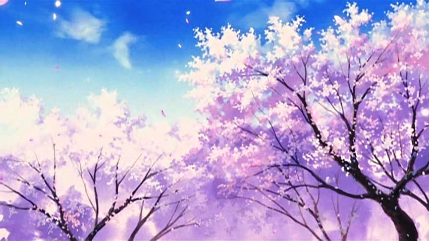 6 Anime Scenery Aesthetic Anime Hd Wallpaper Pxfuel