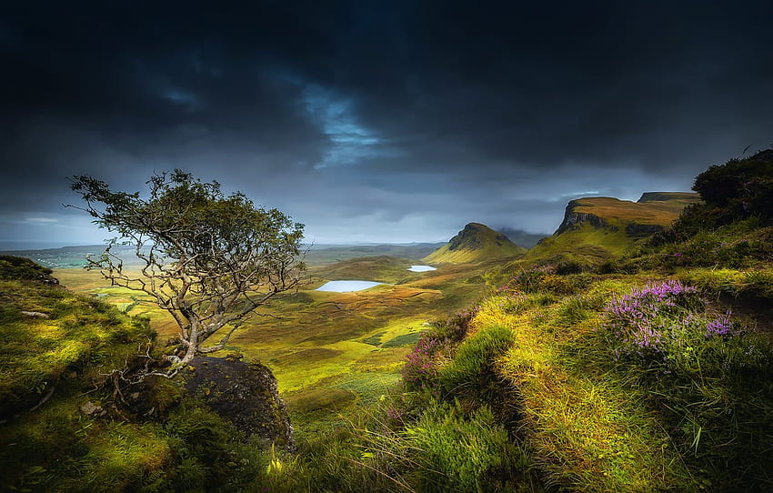 musim panas, rumput, awan, bunga, gunung, awan, pohon, batu, bukit, lembah, Skotlandia, danau, Agustus, Isle of Skye, wilayah dataran tinggi, bagian пейзажи Wallpaper HD