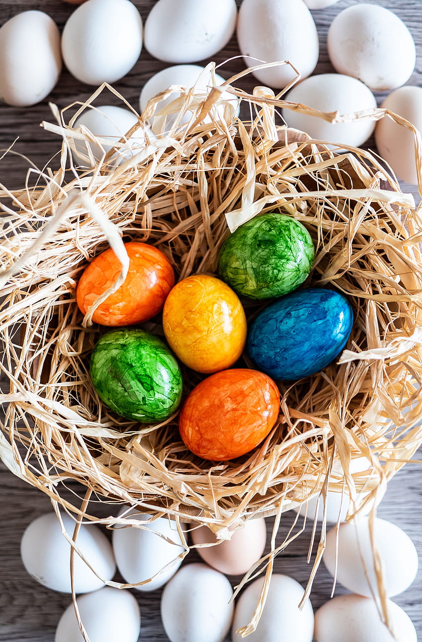 White Eggs and Colored Easter Eggs Vertical Stock, vertical easter HD phone wallpaper