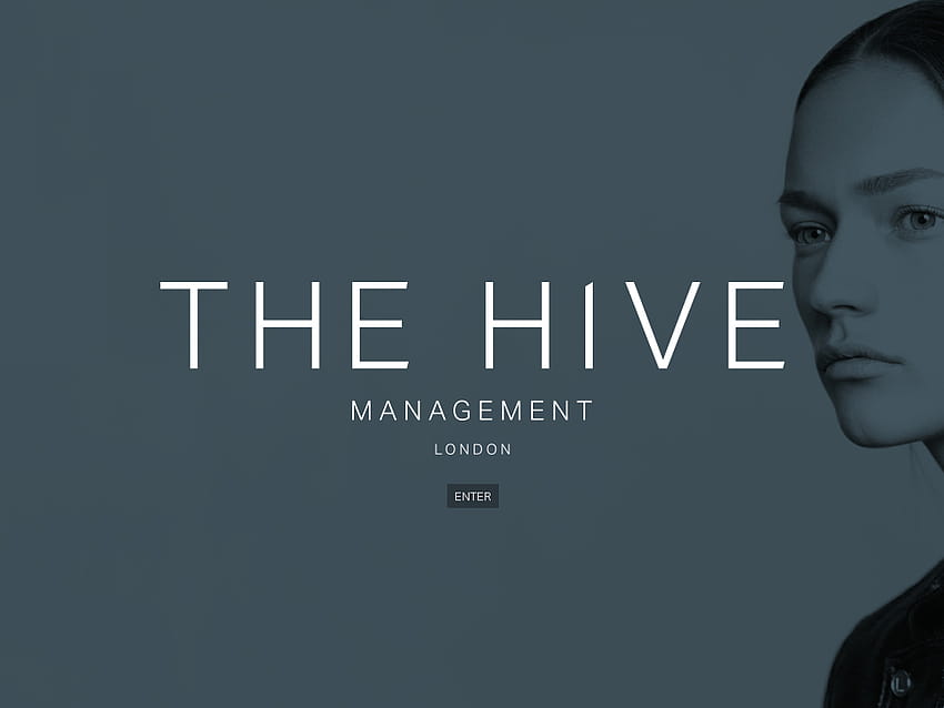 Die Konkurrenten, Umsatz, Anzahl der Mitarbeiter, Finanzierung, Akquisitionen und Neuigkeiten des Hive Management HD-Hintergrundbild