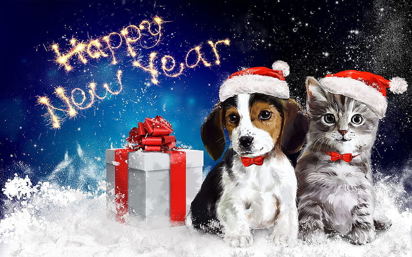 Happy puppy and kitten in the new year. the most beautiful dogs in the world. Puppy, kitten, happy kitten day HD wallpaper