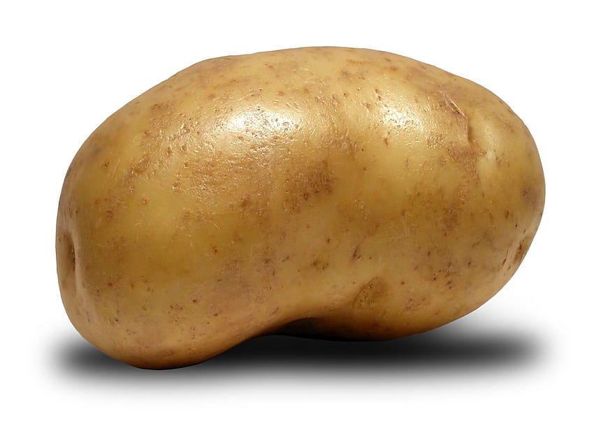 Potato High Quality, potatoes HD wallpaper