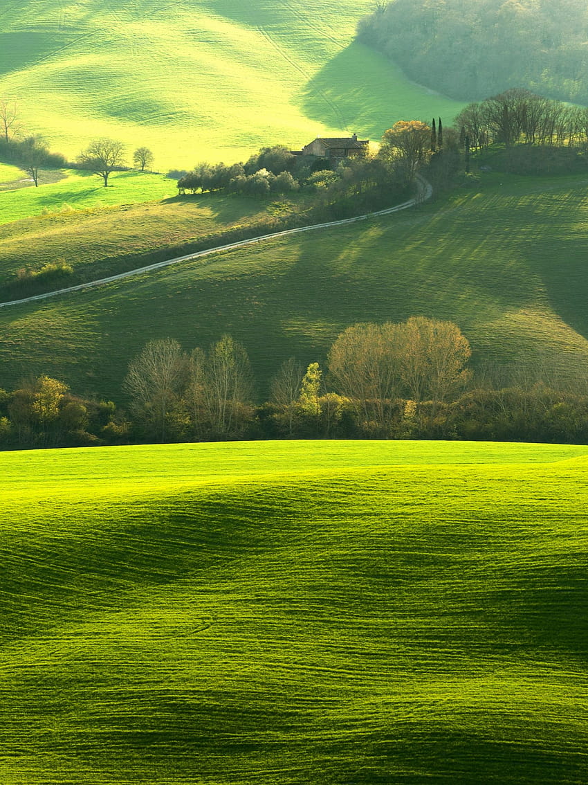Ultrahochauflösende Natur, Naturporträt HD-Handy-Hintergrundbild