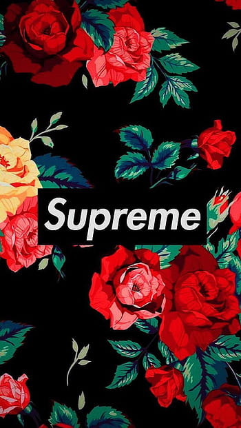 Supreme Gucci posted by Ethan Sellers iPhone Wallpapers Free Download