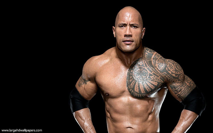 WWE-Superstar Dwayne The Rock Johnson Body, Dwayne Johnson HD-Hintergrundbild