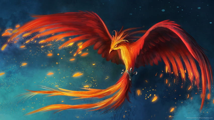 5 Phoenix Feather, mythical birds HD wallpaper