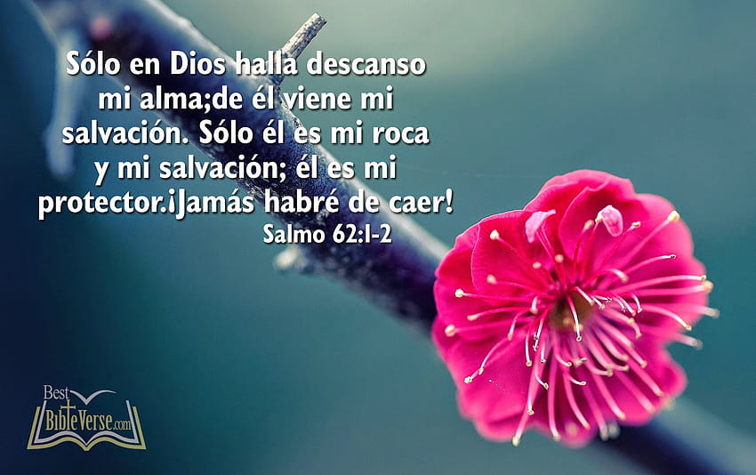 Wedding Quotes From The Bible In Spanish Bible Quotes In Spanish 