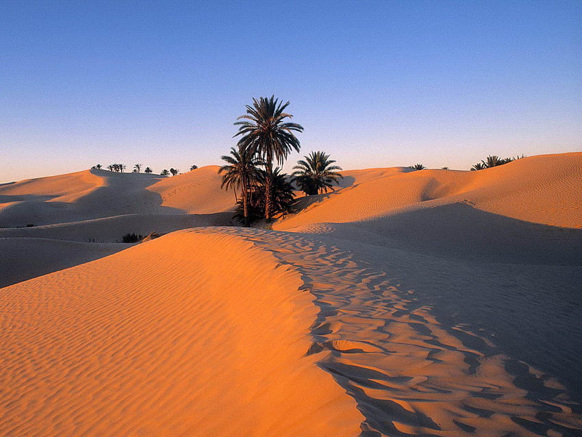 The Deserts of the World mali country HD wallpaper  Pxfuel