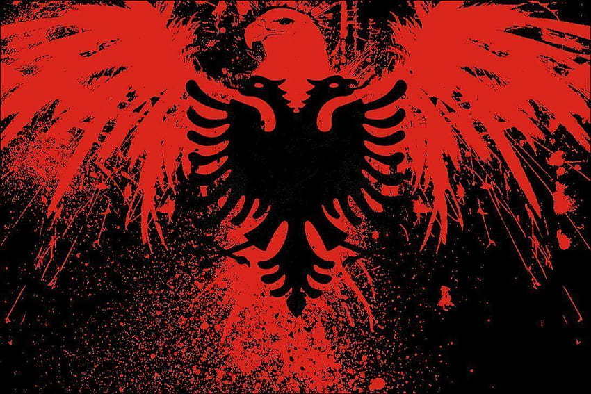 Águia albanesa Shrook 1094x730 px, bandeira albanesa papel de parede HD