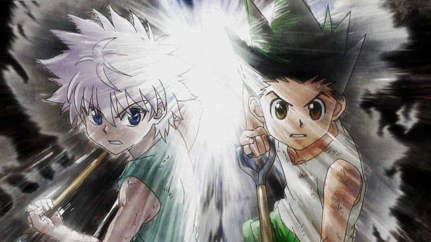 HD wallpaper: Hunter x Hunter, Gon css, Killua Zoldyck