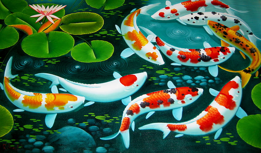 Koi Fish Koi Fish Backgrounds [3264x1908] for your , Mobile & Tablet, ปลาคราฟญี่ปุ่น วอลล์เปเปอร์ HD
