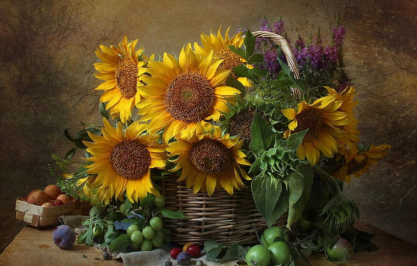 Flowers, Apple, sunflower, still life, drain, naturmort HD wallpaper ...