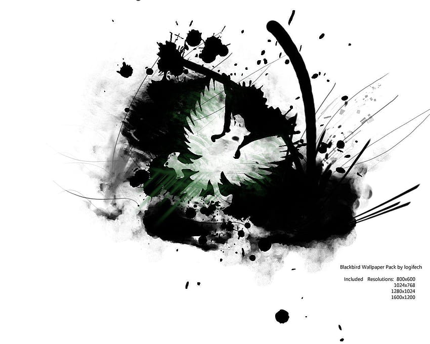 Blackbird Pack by logifech, black bird HD wallpaper