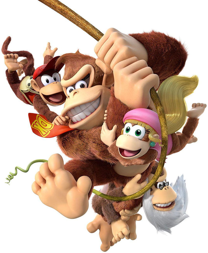Kongs Swinging, Donkey Kong Country Tropical Ze Tapeta na telefon HD