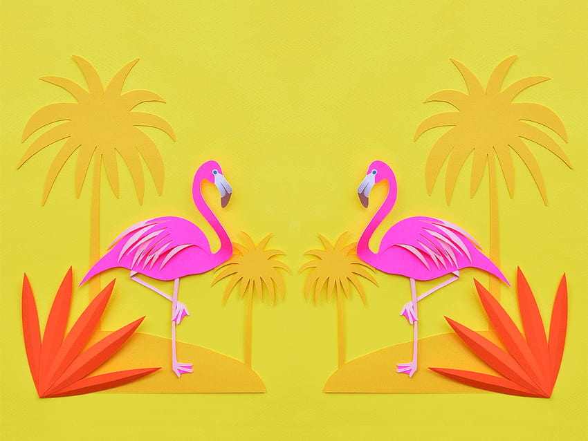 cute flamingo HD wallpaper