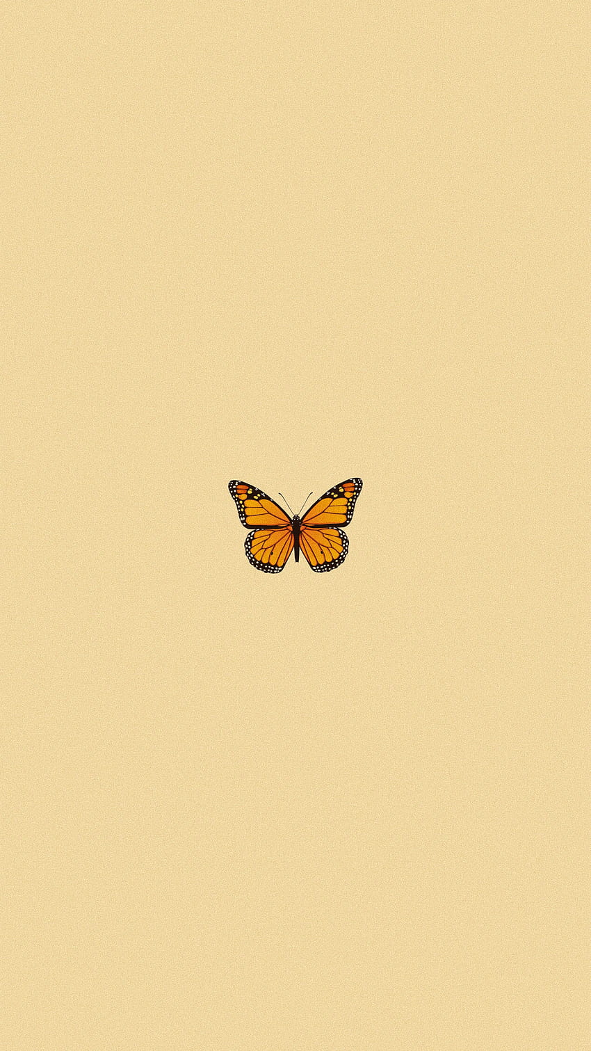 Aesthetic lockscreens by Melina Mejia, aesthetic simple butterfly HD ...