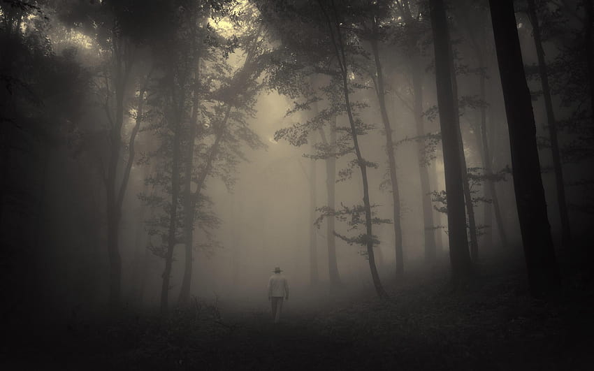 forest, Trees, Creepy, Nature, Landscape, Misty, Lonely, Old, Man, misty forest path HD wallpaper