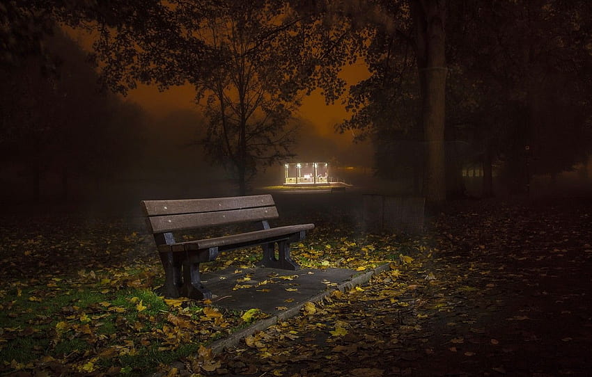autumn, night, the city, street, bench , section город, autumn night HD wallpaper