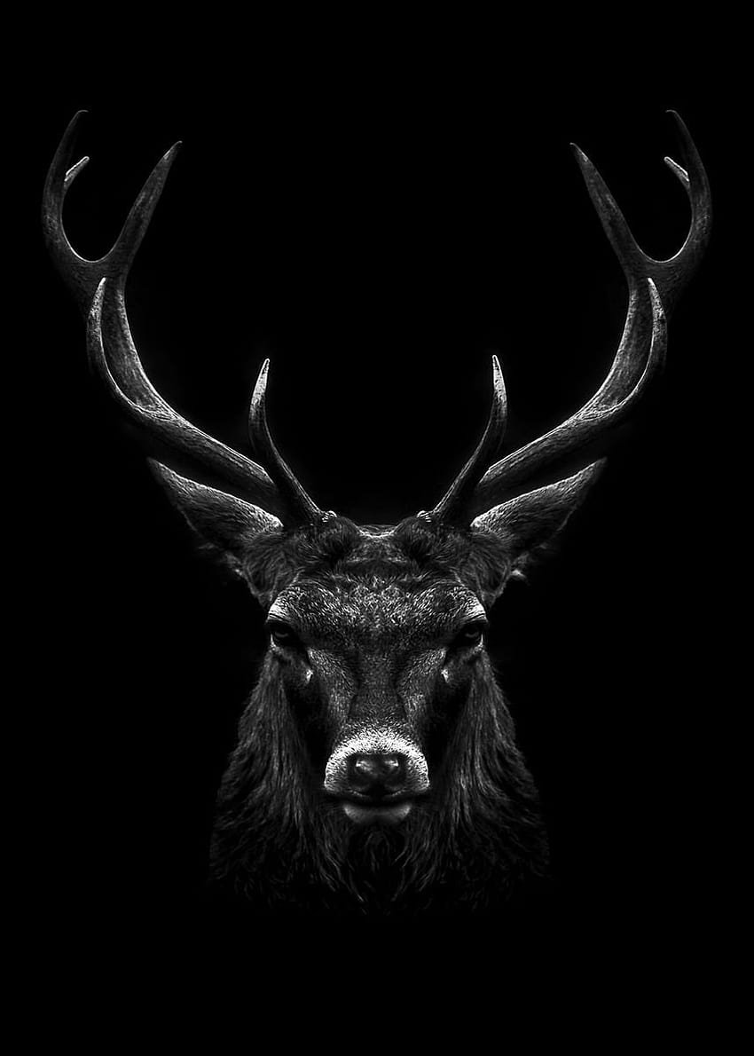 czarny plakat z głową jelenia ' Plakat autorstwa MK studio Tapeta na telefon HD