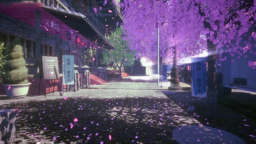 Strada giapponese fiancheggiata da fiori di ciliegio Live, sakura street Sfondo HD