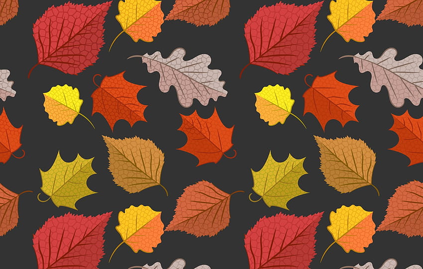 Autunno, foglie, , colorato, , autunno, modello, foglie, autunno