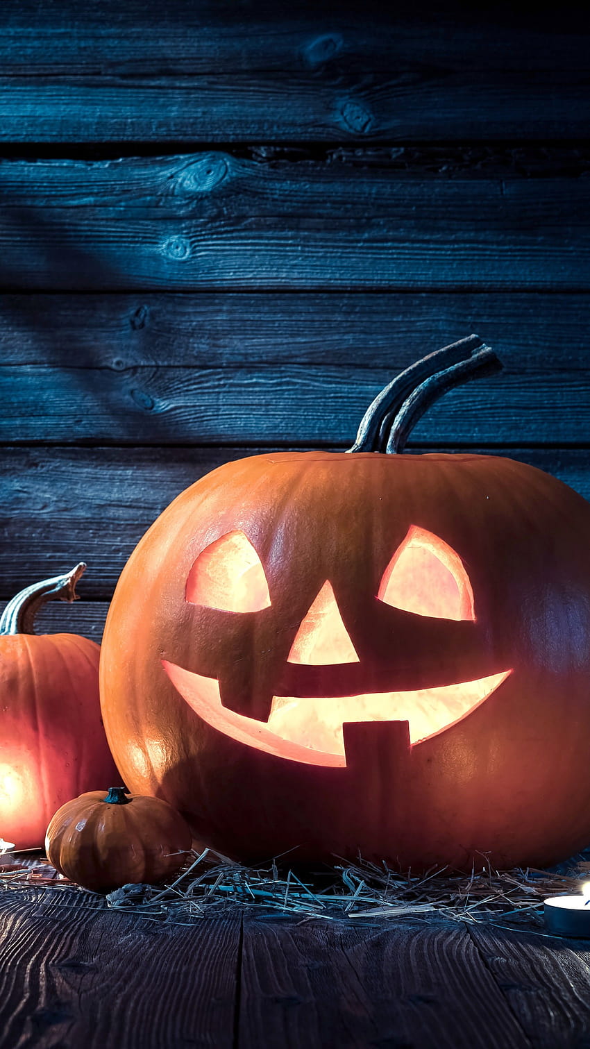 Holiday, Halloween, 31 october, pumpkin host, Holidays, halloween ...
