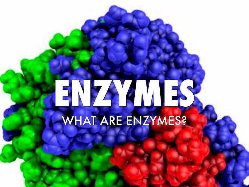 Enzymes by Janie Gardner HD wallpaper