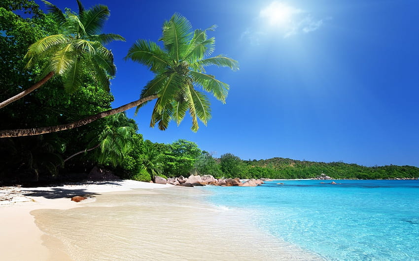 praslin, isla, playa, palma, océano, seychelles, sol » Naturaleza » GoodWP fondo de pantalla