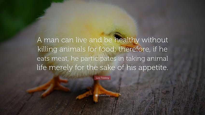 Citation de Léon Tolstoï : « Un homme peut vivre et être en bonne santé sans nourriture animale. Fond d'écran HD