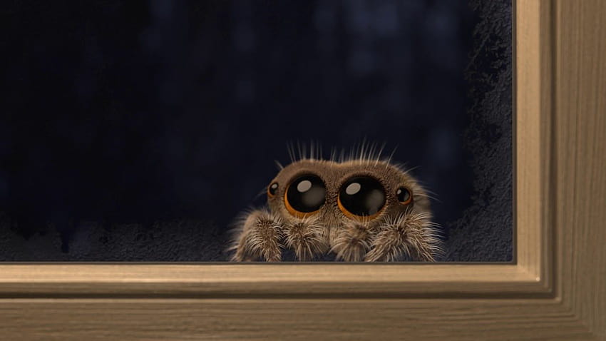 Lucas The Spider Is Animated By Joshua Slice Simplemost, lucas the spider polar bear HD wallpaper