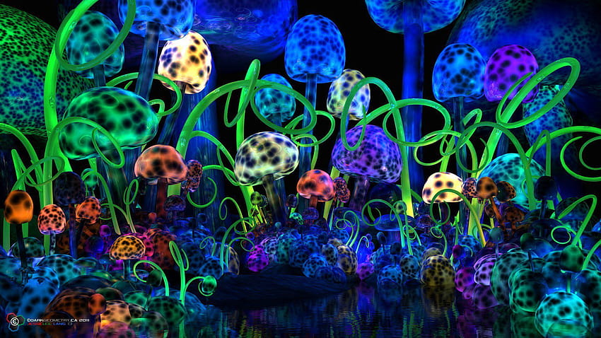 Como Cogumelos com Psilocibina e Plantas Medicinais Podem Curar a Humanidade e os cogumelos psicodélicos papel de parede HD