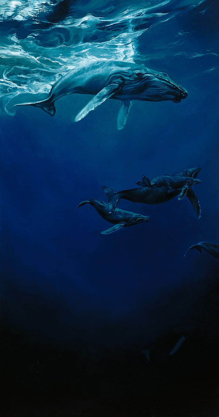 바다 동물 귀여운 푸른 깊은 고래, 귀여운 바다 동물 HD 전화 배경 화면