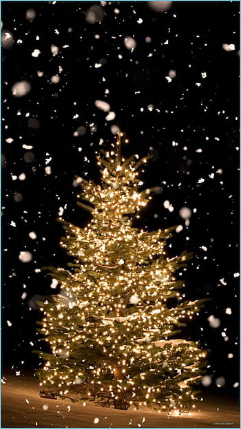 Best Aesthetic Christmas Wallpaper Ideas  365greetingscom