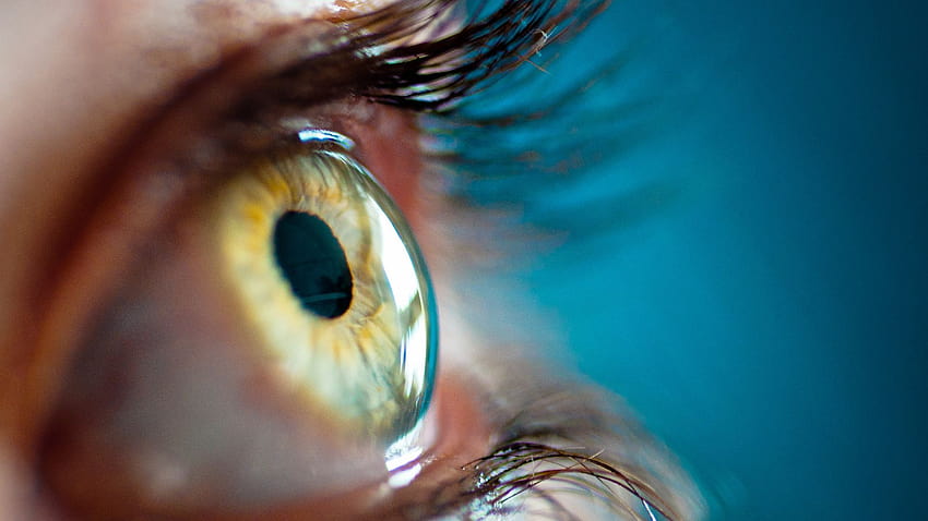 Eye Retina Iris, eyes HD wallpaper