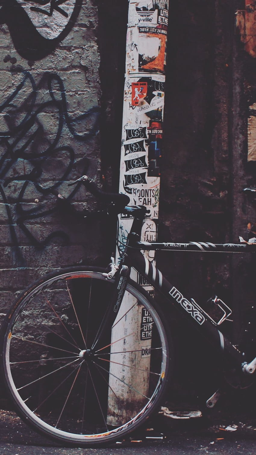 art de rue, vélo de montagne, cadre de vélo, graffiti, arbre, vélo amoled Fond d'écran de téléphone HD
