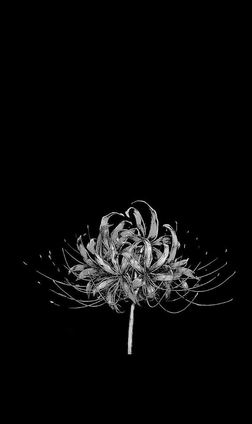 toedit, japanische Blume schwarz HD-Handy-Hintergrundbild