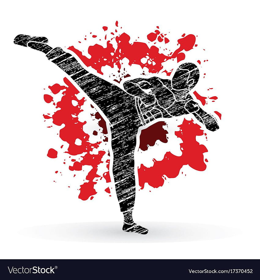 Kung fu karate kick designed on splatter blood Vector HD phone wallpaper   Pxfuel