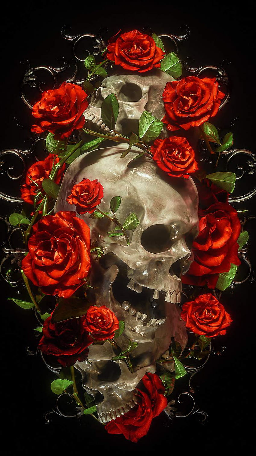 Rose Skull IPhone IPhone iPhone [900x1601] para su estética, móvil y tableta, calavera y rosas fondo de pantalla del teléfono