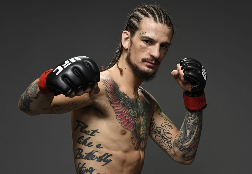 Humanizing Athletes: UFC Fighter Sean O'Malley's Favorite Things, sean omalley HD wallpaper