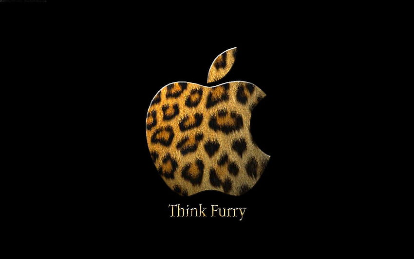 Furry iPhone, gay furry pride HD wallpaper