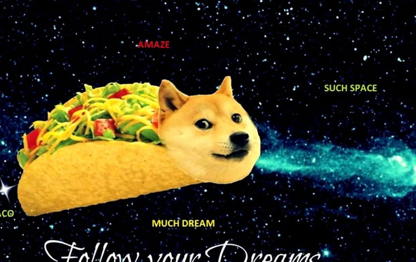 Doge Meme 1920X1080, куче мем HD тапет