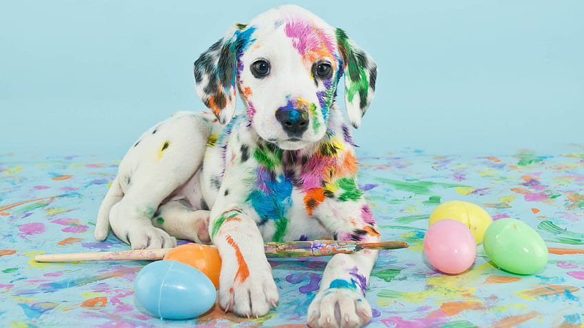 Easter Paint Puppy Dalmatian Brush Dog Eggs, easter puppies and dogs HD wallpaper