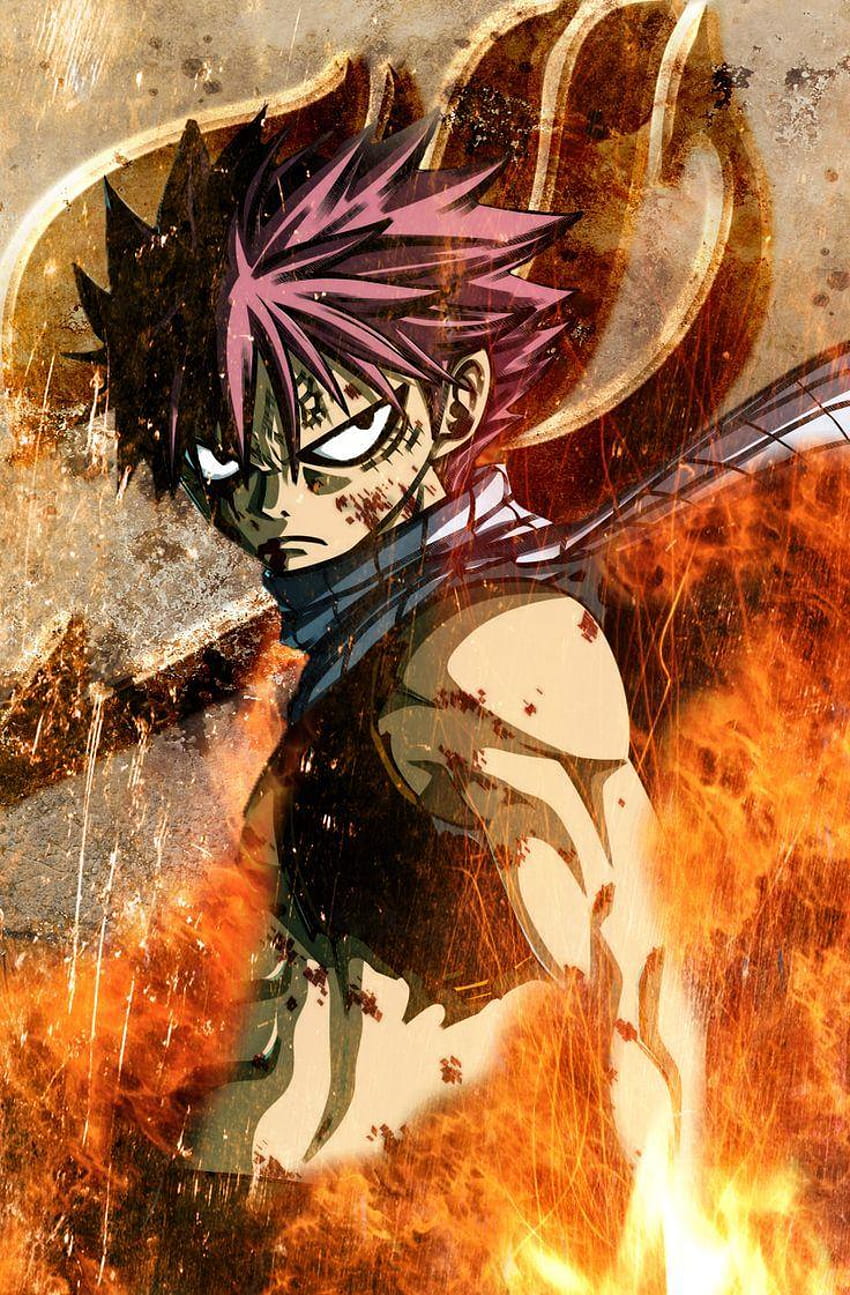 2560x1440 Natsu Dragneel Fairy Tail 1440P Resolution HD 4k Wallpapers  Images Backgrounds Photos and Pictures