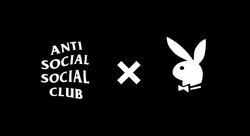 Computer Anti Social Social Club on Dog, anti social club HD wallpaper