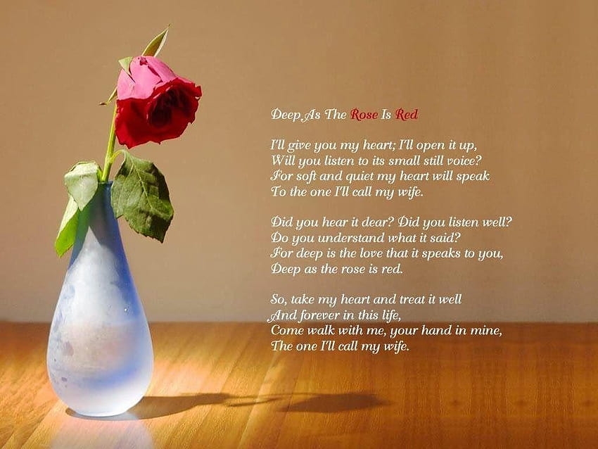 Beautiful love quotes for her with rose flower, i love you with quotes for him HD wallpaper