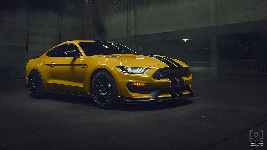 Your Ridiculously Awesome Ford Mustang Shelby GT350 Is Here [2560x1440] for your , Mobile & Tablet, yellow mustang HD wallpaper