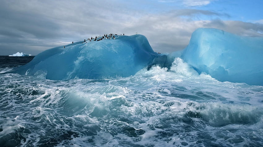 1920x1080 Penguins, Iceberg, Waves, Foam, Arctic HD wallpaper