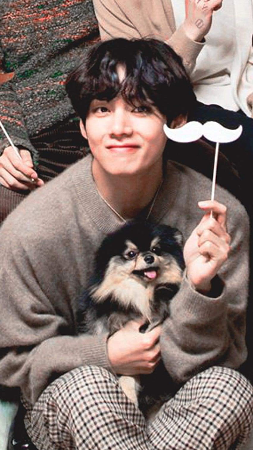 taehyung and his dog HD phone wallpaper
